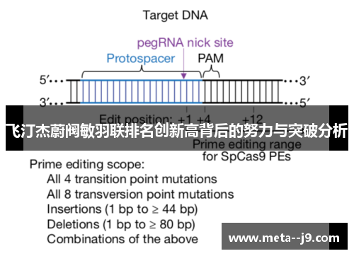 飞汀杰蔚阀敏羽联排名创新高背后的努力与突破分析