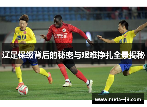 辽足保级背后的秘密与艰难挣扎全景揭秘 辽足保级背后的秘密与艰难挣扎全景揭秘